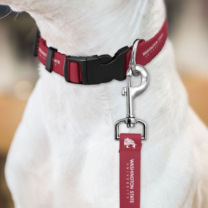 Pet Collar