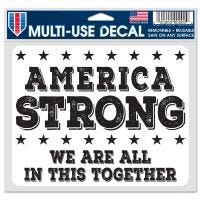 Patriotic We Are All In This Together Multi-Use Decal -Clear Bckrgd 5" x 6"