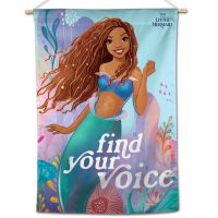 / Disney Vertical Flag 28" x 40"
