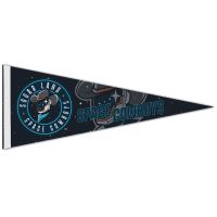 Sugar Land Space Cowboys Premium Pennant 12" x 30"
