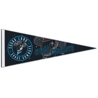 Sugar Land Space Cowboys Premium Pennant 12" x 30"