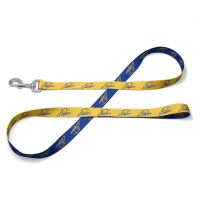 Embry-Riddle Aeronautical Eagles Pet Leash