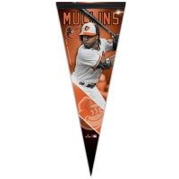 Baltimore Orioles PLAYERS CHOICE DIAMOND CLUB(R) Premium Pennant 12" x 30" Cedric Mullins