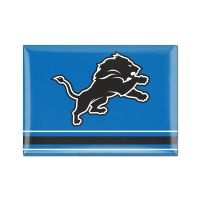 Detroit Lions Metal Magnet 2.5" x 3.5"
